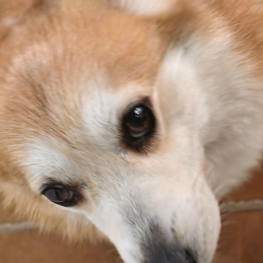 MuQYY的头像-MuQYY的博客